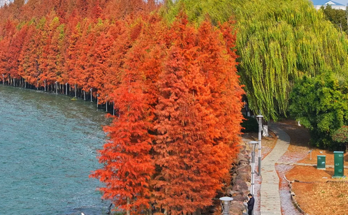 http://www.tianmajiaju.com/szgyyq/jsdt/202502/4d9d20e72c7d425cada95f797a1e160f/images/98a21992ddb44b309b353f6216cb0598.png